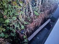 Metalen plantenbak (3x) - afbeelding 3 van  5