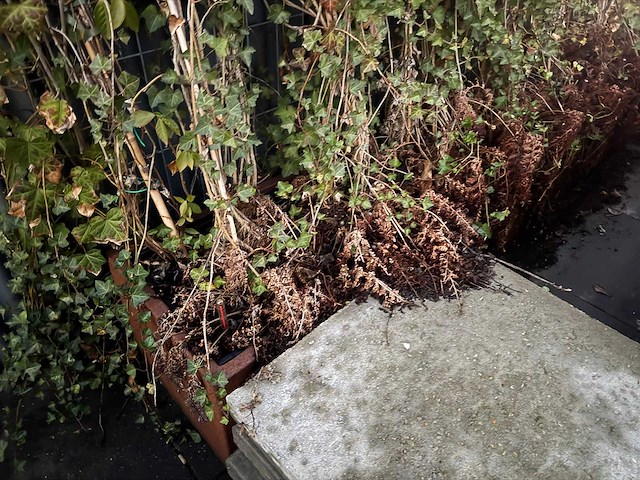 Metalen plantenbak (3x) - afbeelding 4 van  5