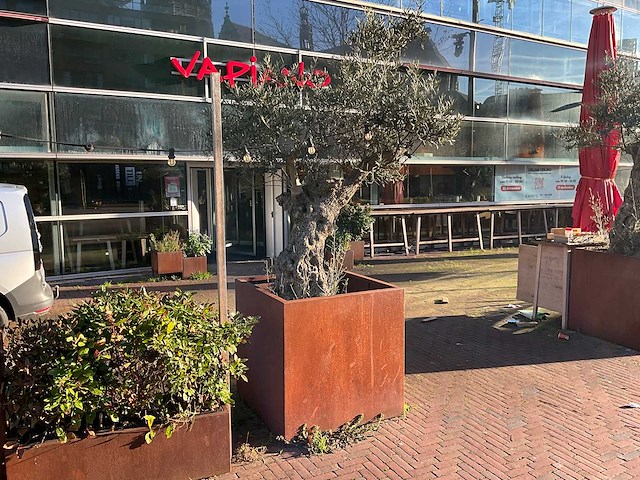 Metalen plantenbak met boom - afbeelding 1 van  4