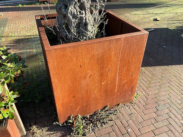 Metalen plantenbak met boom - afbeelding 2 van  4