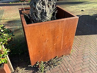 Metalen plantenbak met boom - afbeelding 2 van  4