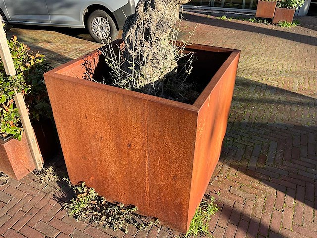 Metalen plantenbak met boom - afbeelding 3 van  4