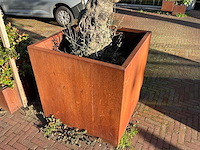 Metalen plantenbak met boom - afbeelding 3 van  4