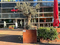 Metalen plantenbak met boom - afbeelding 1 van  3