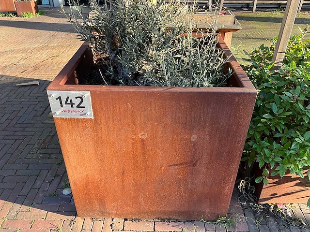 Metalen plantenbak met boom - afbeelding 2 van  3