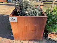 Metalen plantenbak met boom - afbeelding 2 van  3