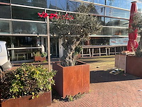 Metalen plantenbak met boom - afbeelding 1 van  4