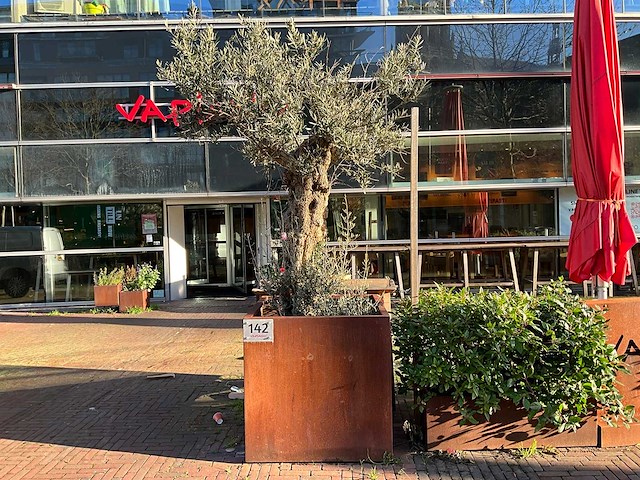 Metalen plantenbak met boom - afbeelding 1 van  3