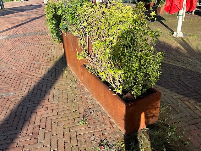 Metalen plantenbak met inhoud (2x) - afbeelding 2 van  4
