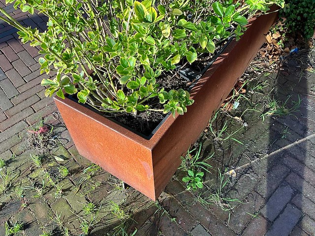 Metalen plantenbak met inhoud (2x) - afbeelding 4 van  4