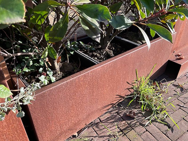 Metalen plantenbak met inhoud (2x) - afbeelding 3 van  5