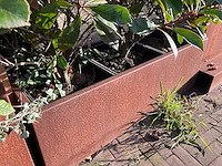 Metalen plantenbak met inhoud (2x) - afbeelding 3 van  5