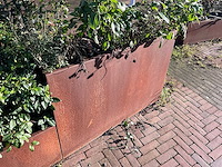 Metalen plantenbak met inhoud (2x) - afbeelding 2 van  5