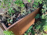 Metalen plantenbak met inhoud (2x) - afbeelding 4 van  5