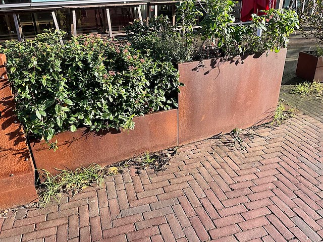 Metalen plantenbak met inhoud (2x) - afbeelding 5 van  5