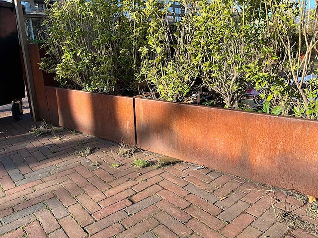 Metalen plantenbak met inhoud (2x) - afbeelding 2 van  5