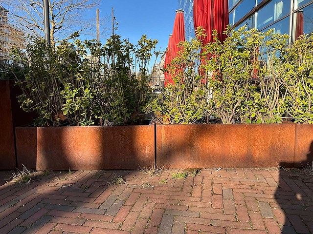 Metalen plantenbak met inhoud (2x) - afbeelding 3 van  5