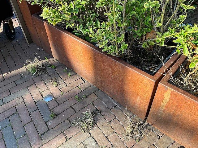 Metalen plantenbak met inhoud (2x) - afbeelding 4 van  5