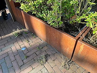 Metalen plantenbak met inhoud (2x) - afbeelding 4 van  5