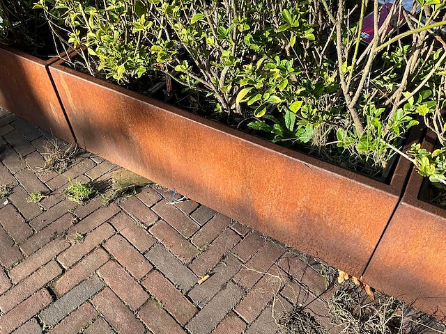 Metalen plantenbak met inhoud (2x) - afbeelding 5 van  5