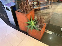 Metalen plantenbak met inhoud (2x) - afbeelding 1 van  3