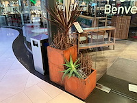 Metalen plantenbak met inhoud (2x) - afbeelding 2 van  3