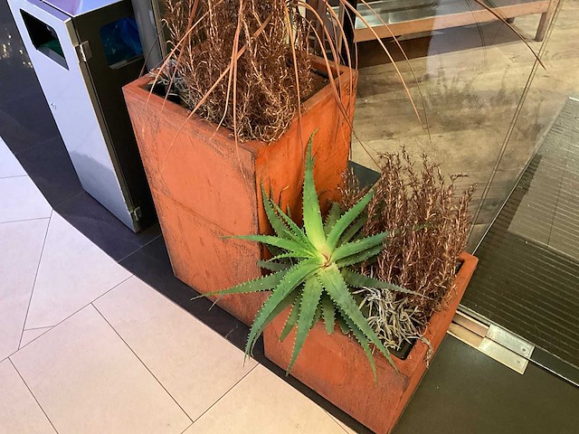 Metalen plantenbak met inhoud (2x) - afbeelding 3 van  3