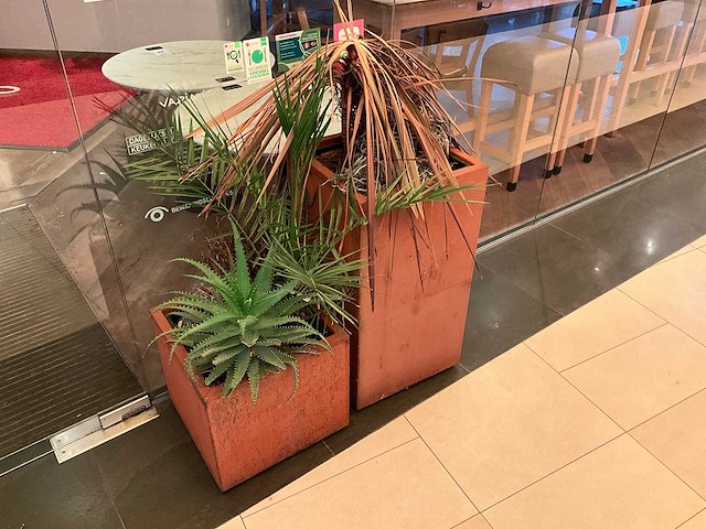 Metalen plantenbak met inhoud (2x) - afbeelding 1 van  3