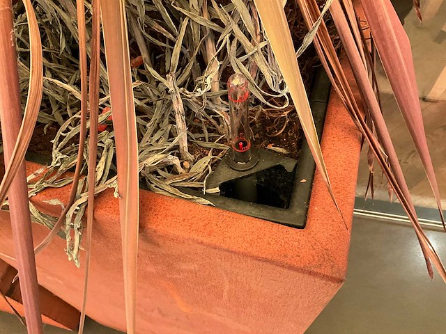 Metalen plantenbak met inhoud (2x) - afbeelding 3 van  3