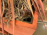 Metalen plantenbak met inhoud (2x) - afbeelding 3 van  3