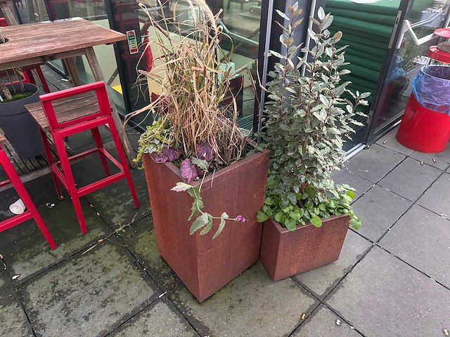 Metalen plantenbak met inhoud (2x) - afbeelding 1 van  5