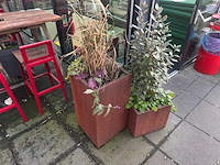 Metalen plantenbak met inhoud (2x) - afbeelding 1 van  5