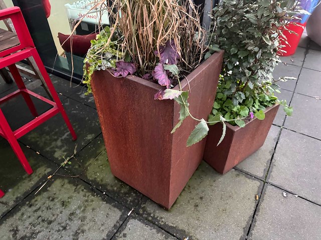 Metalen plantenbak met inhoud (2x) - afbeelding 3 van  5