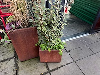 Metalen plantenbak met inhoud (2x) - afbeelding 4 van  5