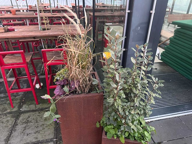 Metalen plantenbak met inhoud (2x) - afbeelding 5 van  5