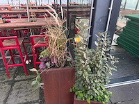 Metalen plantenbak met inhoud (2x) - afbeelding 5 van  5