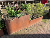 Metalen plantenbak met inhoud (2x) - afbeelding 1 van  4