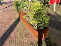 Metalen plantenbak met inhoud (2x) - afbeelding 2 van  4