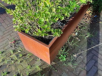 Metalen plantenbak met inhoud (2x) - afbeelding 4 van  4