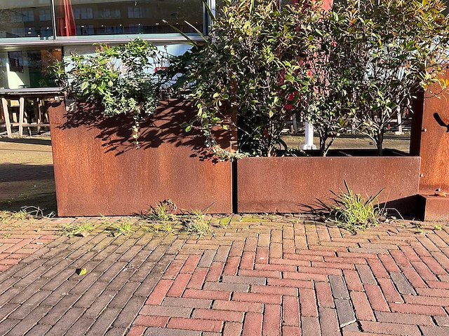 Metalen plantenbak met inhoud (2x) - afbeelding 1 van  5