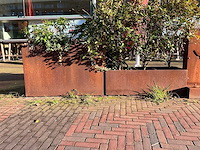 Metalen plantenbak met inhoud (2x) - afbeelding 1 van  5