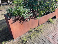 Metalen plantenbak met inhoud (2x) - afbeelding 2 van  5