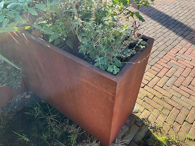 Metalen plantenbak met inhoud (2x) - afbeelding 4 van  5
