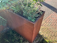 Metalen plantenbak met inhoud (2x) - afbeelding 4 van  5