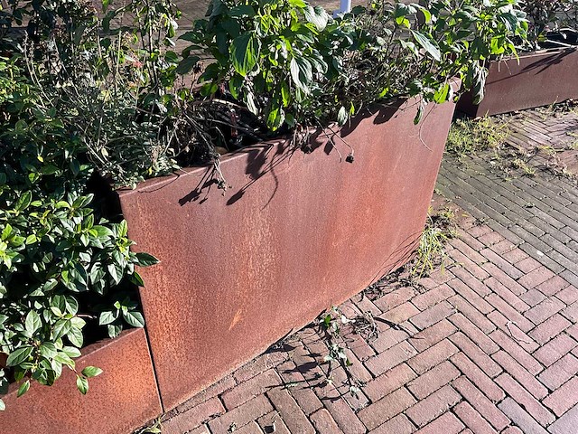 Metalen plantenbak met inhoud (2x) - afbeelding 2 van  5
