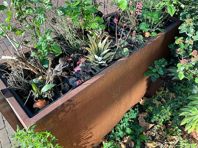 Metalen plantenbak met inhoud (2x) - afbeelding 4 van  5