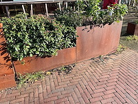 Metalen plantenbak met inhoud (2x) - afbeelding 5 van  5