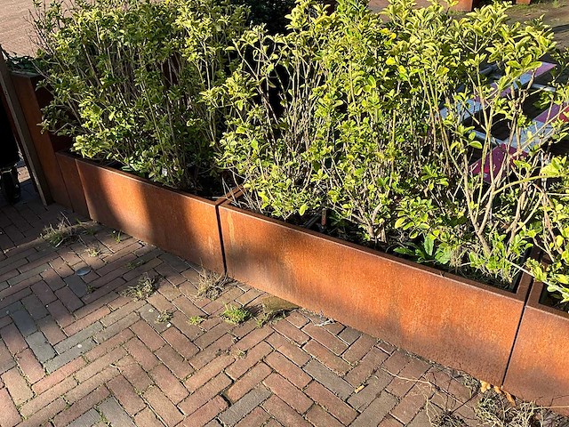 Metalen plantenbak met inhoud (2x) - afbeelding 1 van  5