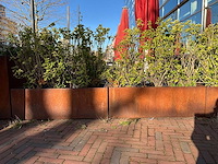 Metalen plantenbak met inhoud (2x) - afbeelding 3 van  5