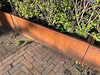 Metalen plantenbak met inhoud (2x) - afbeelding 5 van  5